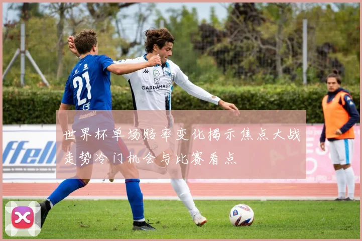 世界杯单场赔率变化揭示焦点大战走势冷门机会与比赛看点
