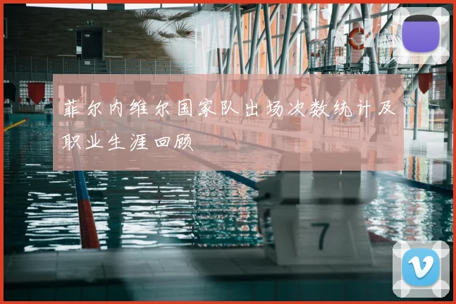 菲尔内维尔国家队出场次数统计及职业生涯回顾