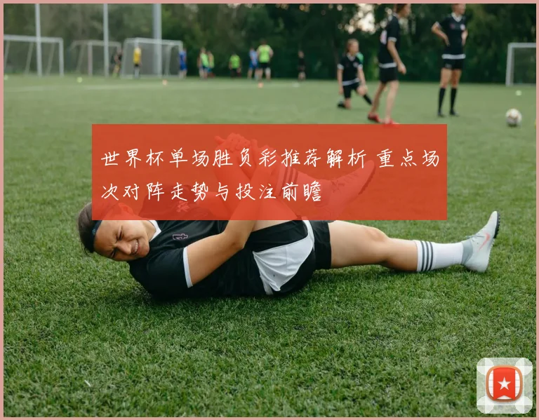 世界杯单场胜负彩推荐解析 重点场次对阵走势与投注前瞻