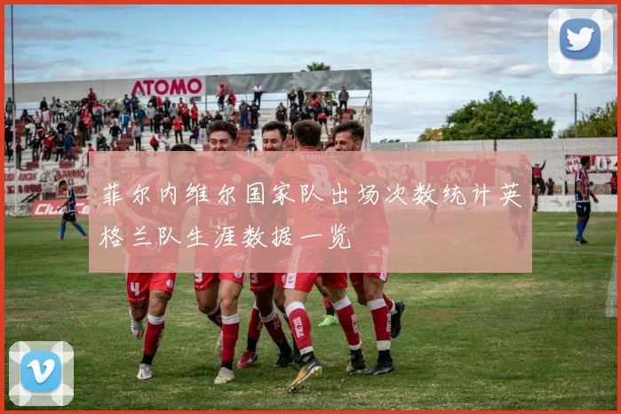 菲尔内维尔国家队出场次数统计英格兰队生涯数据一览