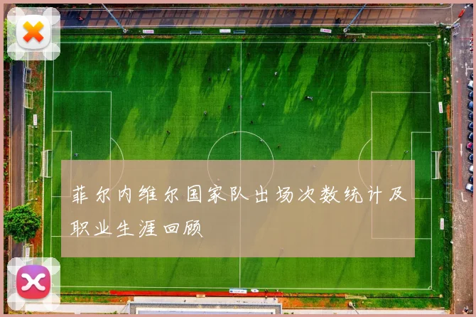 菲尔内维尔国家队出场次数统计及职业生涯回顾