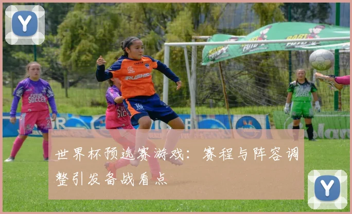 世界杯预选赛游戏：赛程与阵容调整引发备战看点